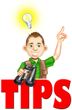 Joe Easy - Cartoon (315x395)