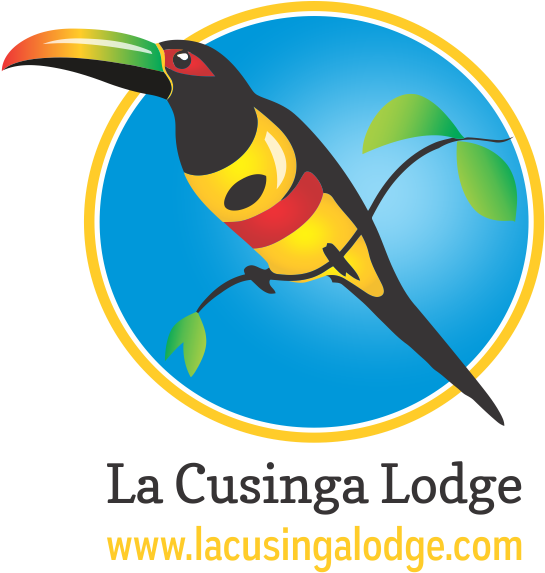 La Cusinga Lodge - Piciformes (600x600)