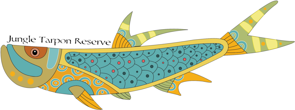 Jungle Tarpon Reserve Experience Fly Fishing For Giant - Jungle Tarpon Reserve Experience Fly Fishing For Giant (1024x397)