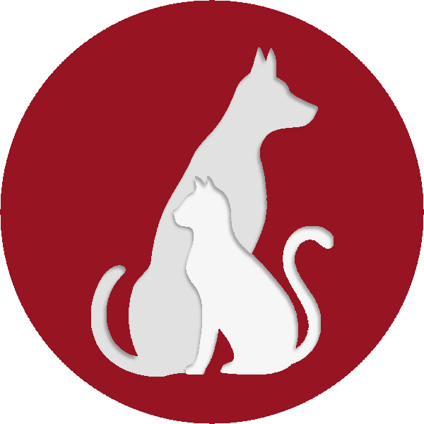 Surgery Offered - Cat Yawns (600x600)