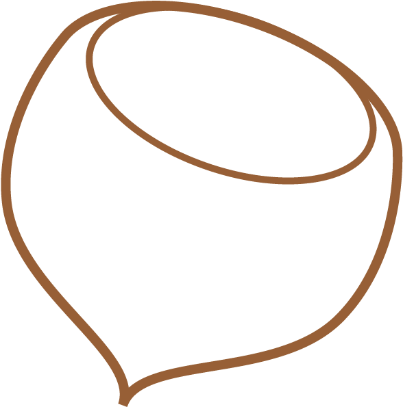 Hazelnut - Hazelnut (610x610)