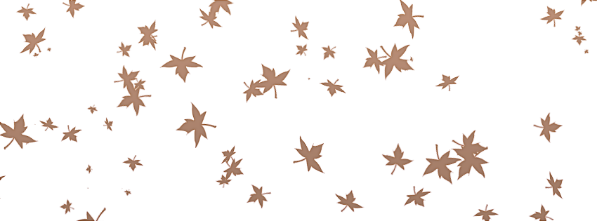 Folhas De Uva Em Png - Folhas Png (850x315)