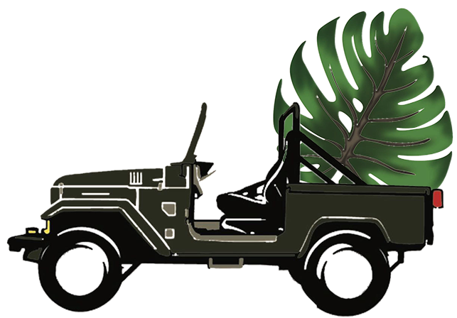 For Reservations & Enquiries - Model Car (650x451)