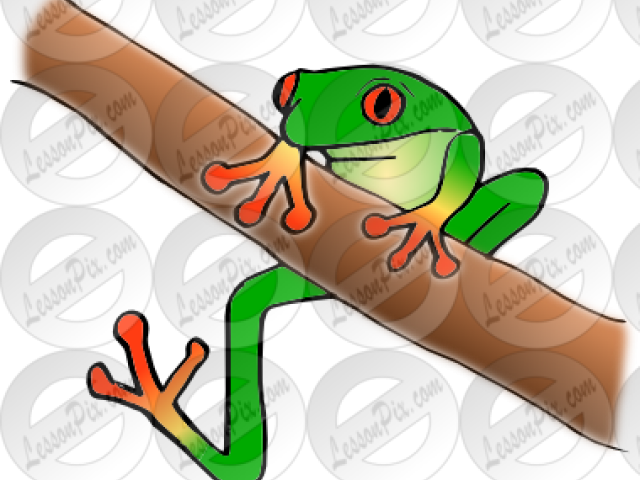 Red Eyed Tree Frog Clipart - Frog (640x480)