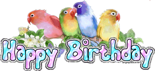 Animated Love Birds Gif (546x244)