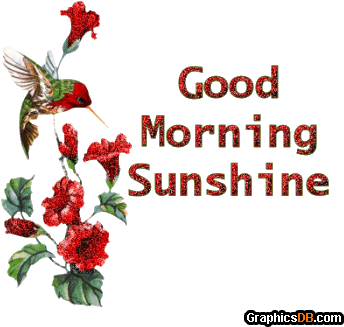 Morning Good Bird Gif - Good Morning Sunshine Animated Gif (350x350)