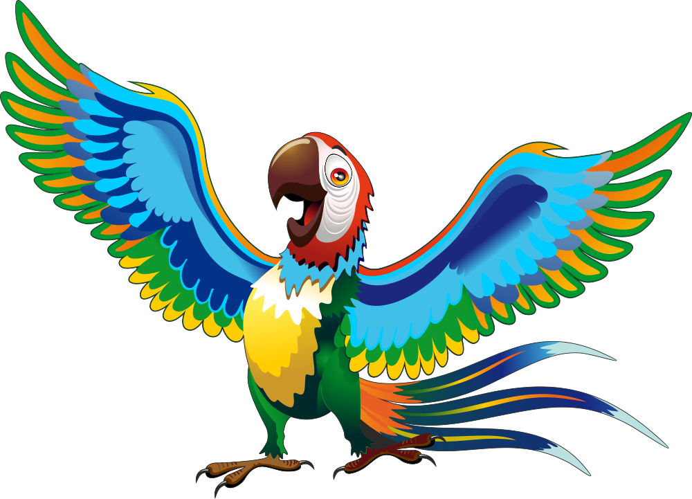 Parrot Cartoon Drawing Macaw - Parrot Cartoon Png (1000x721)