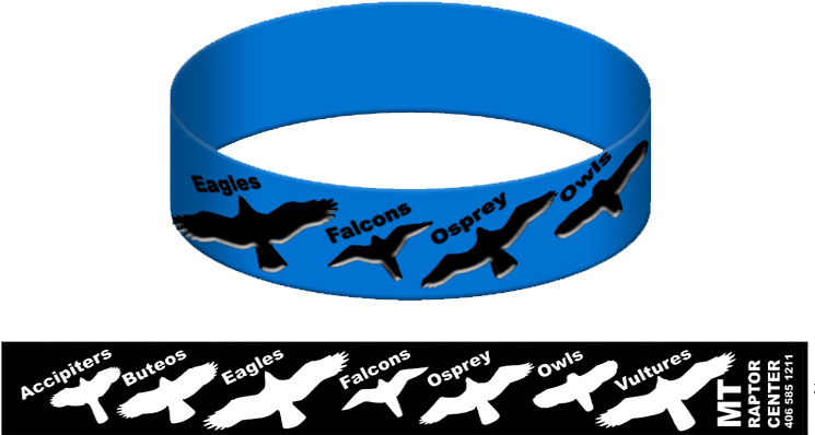 Raptor Identification Band - Shark (765x416)