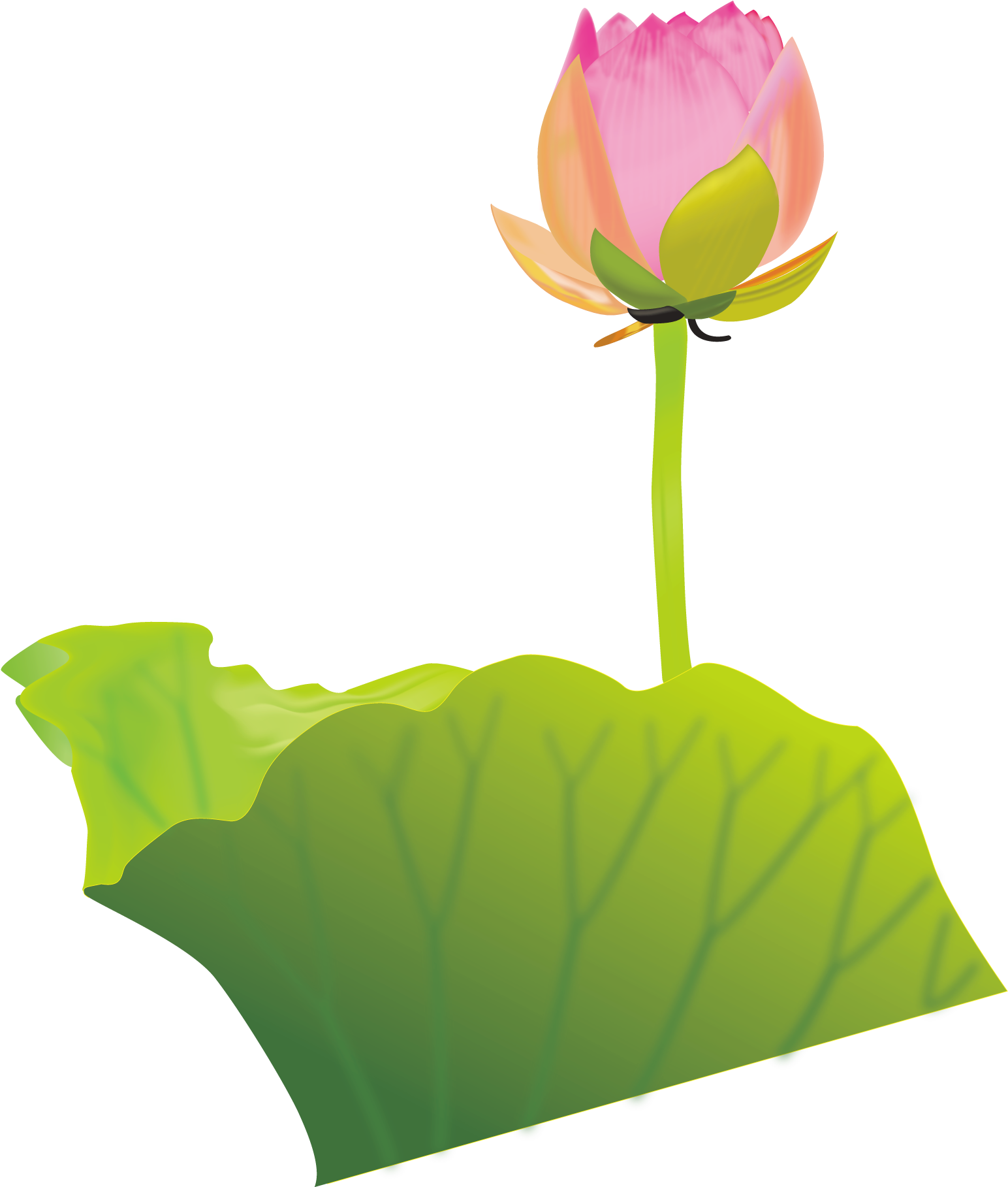 Buddhism Clip Art - ดอกบัว รูป พระพุทธ ศาสนา Png (2150x1950)