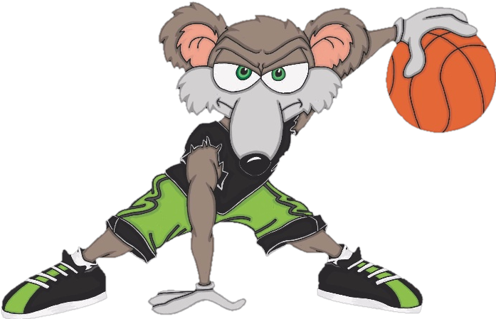 Gym Ratz Basketball (796x548)