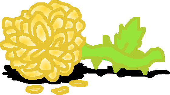 Petals Of The Golden Rose - Petals Of The Golden Rose (560x314)