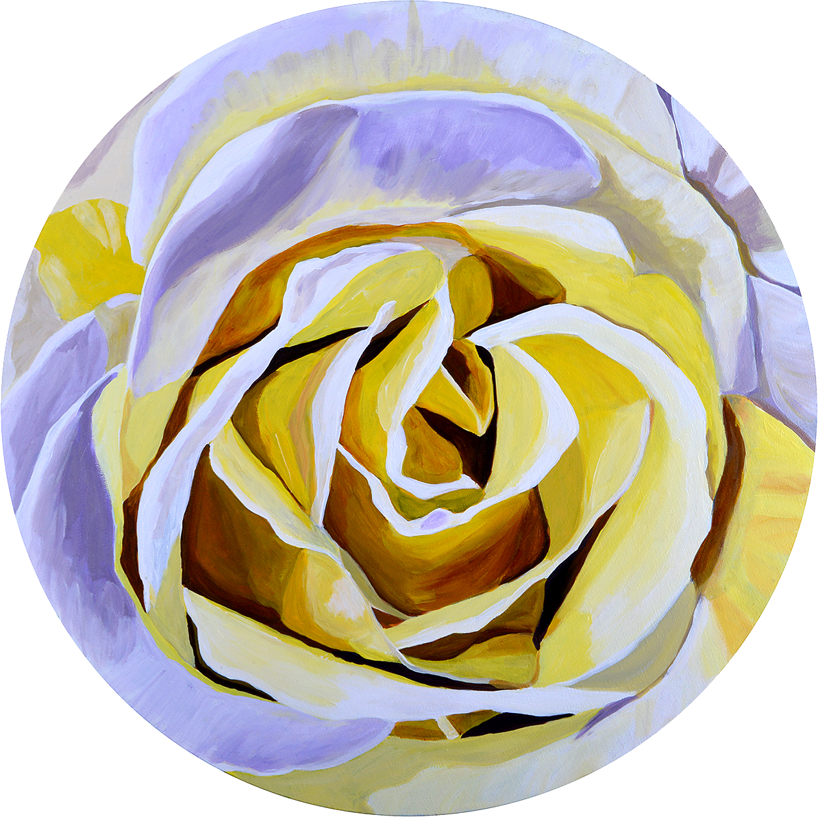 This Was An Unusual Rose Too, It Was A Bit Creamy And - Garden Roses (1194x1193)