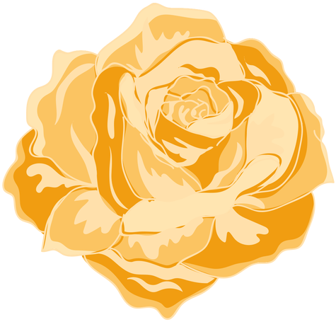 Yellow Blooming Rose Icon Transparent Png - Icon (512x512)