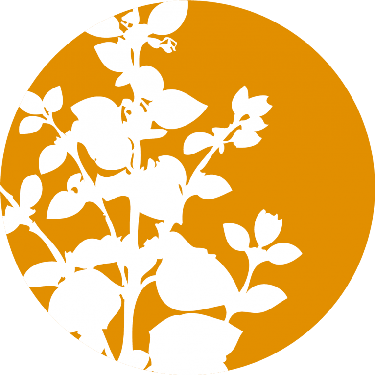 Rose Geranium Essential Oil - Essential Oil Clip Art Transparent (765x937)