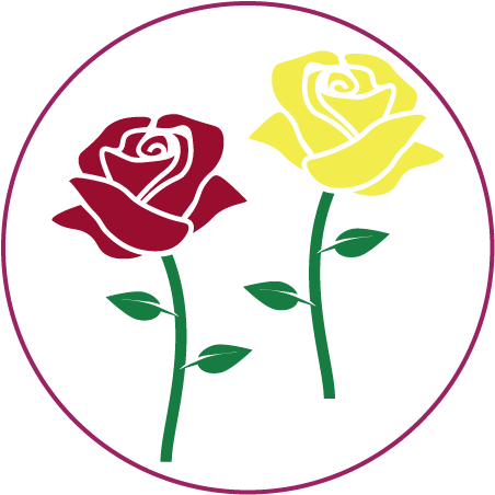 Red And Yellow Rose - Flower (500x500)