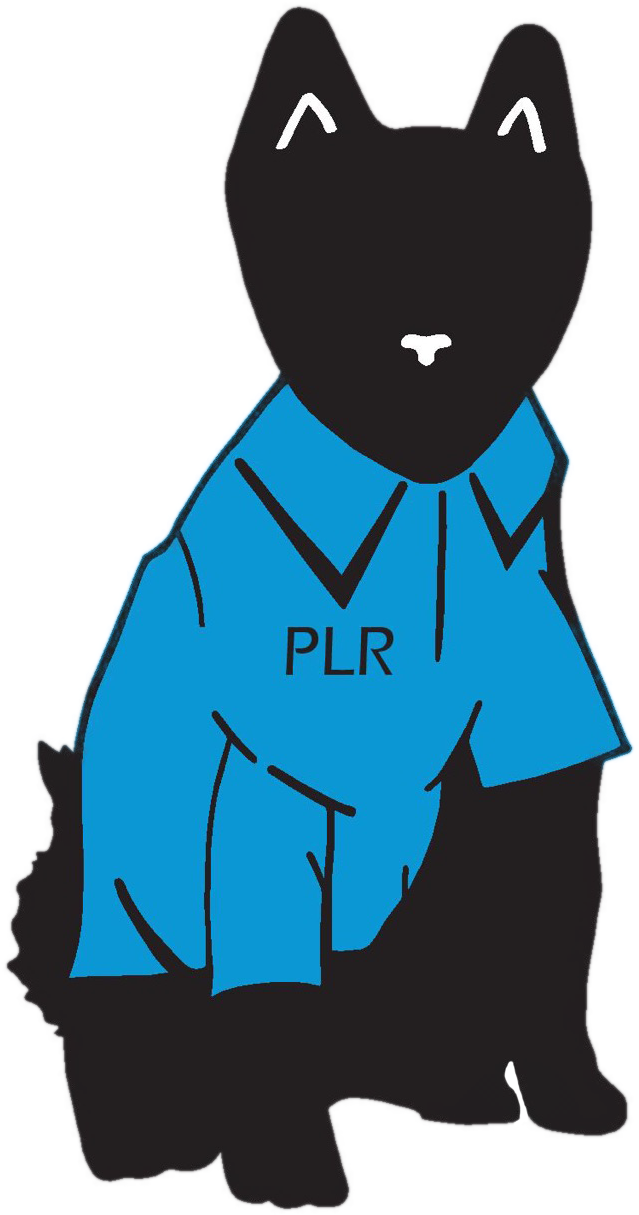 Plot Line Records (1280x1280)