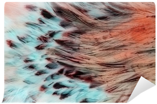 Bright Brown Feather Group Of Some Bird Wall Mural - Feather (400x400)