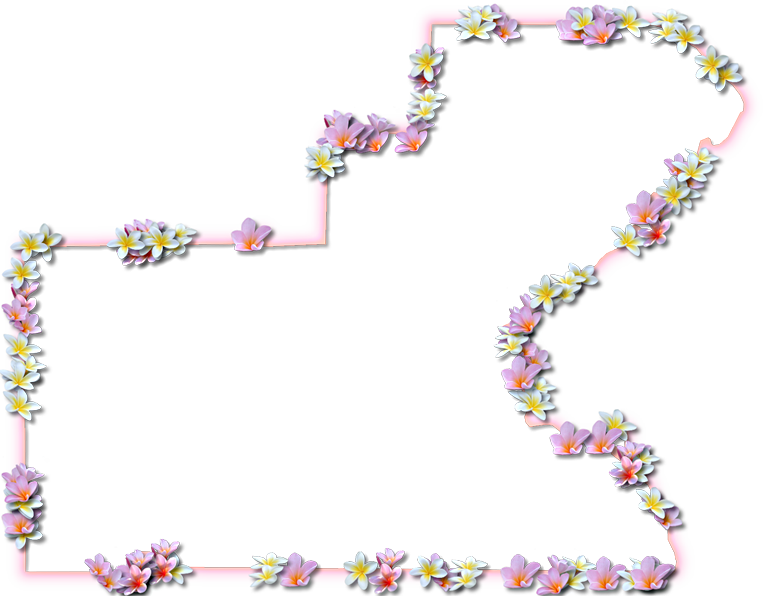 A Map Of Glades With A Coral Color Glow Border And - Illustration (768x596)