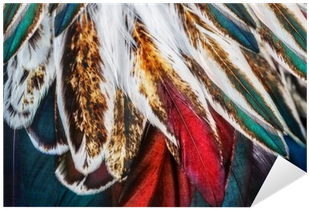 Bright Brown Feather Group Of Some Bird Sticker • Pixers® - Feather (400x400)