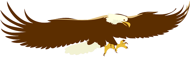 Soaring Eagle Clip Art (640x320)