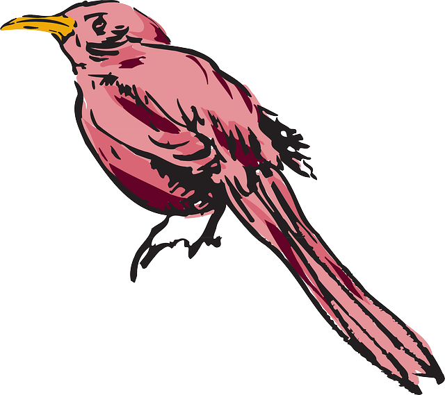 Feathers Drawing, Pink, Bird, Wings, Art, Animal, Feathers - Drawing (640x569)