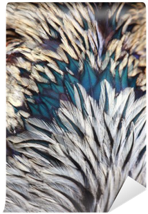 Bright Colorful Feathers Of Bird Wall Mural • Pixers® - Feather (400x400)