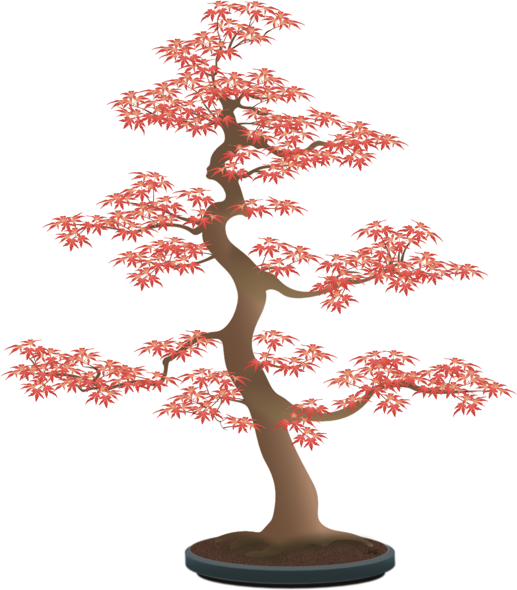 Since The Leaves In The Photo Were Quite Small, I Had - Bonsai Tree Draw Png (1075x1249)