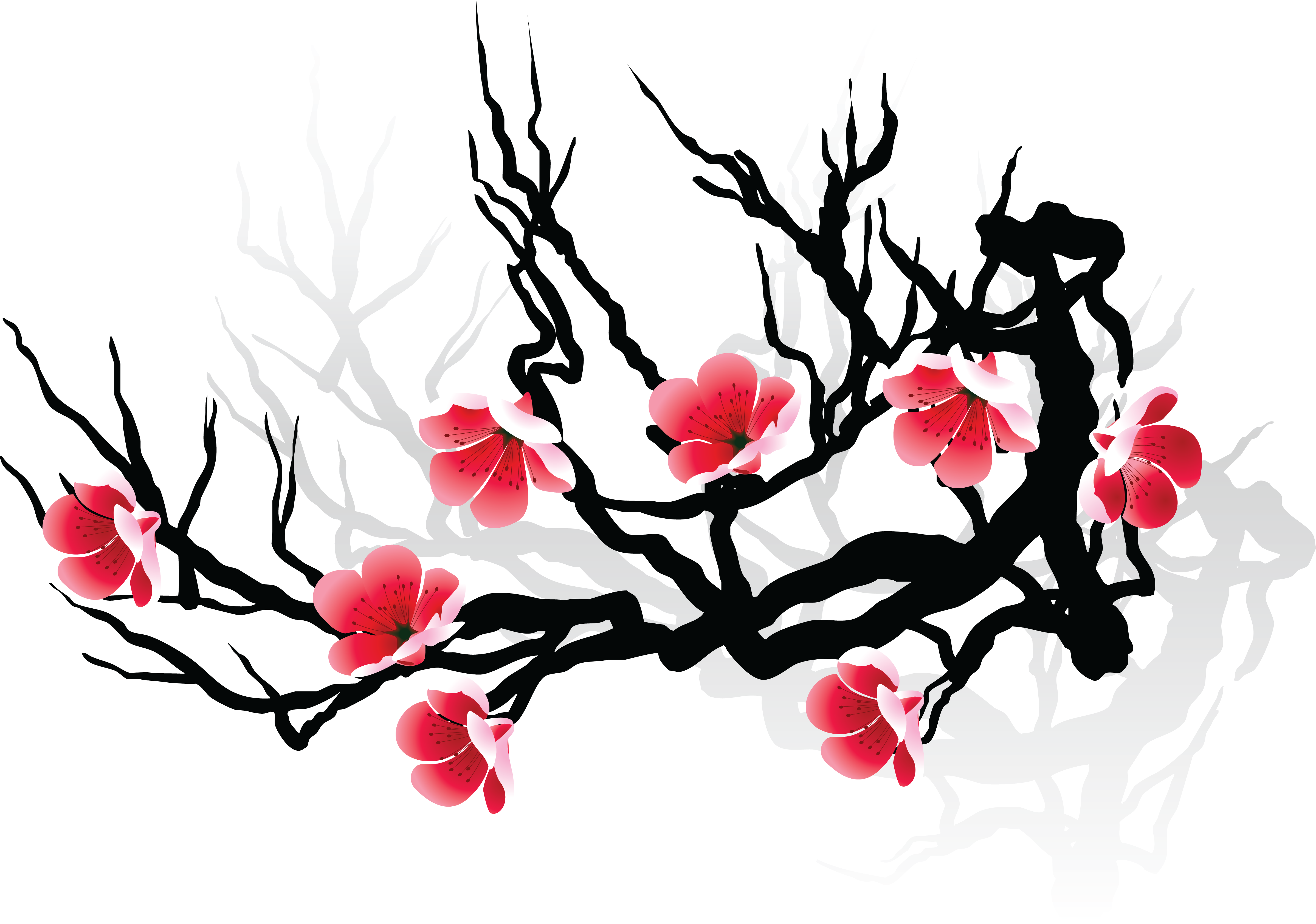 Cherry Blossom Drawing Flower - Japanese Drawing Of Cherry Blossoms (4797x3369)