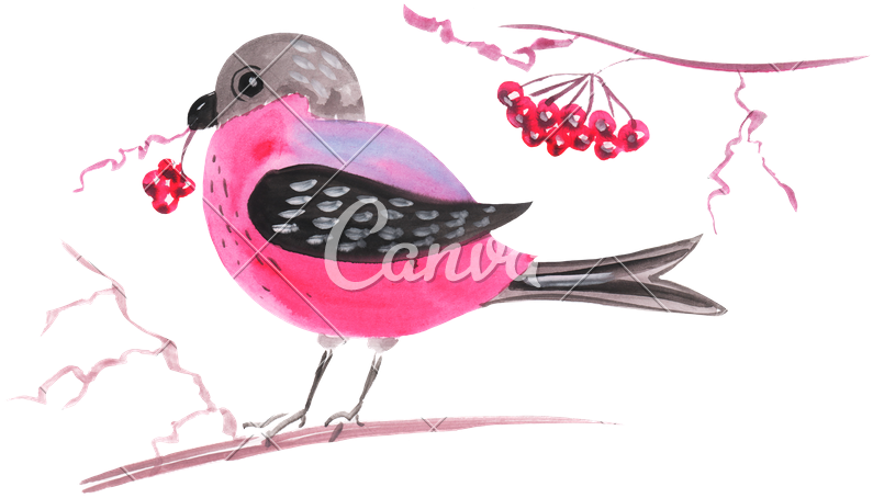 Hand Drawing Markers Exotic Bird - Magnolia Warbler (800x474)