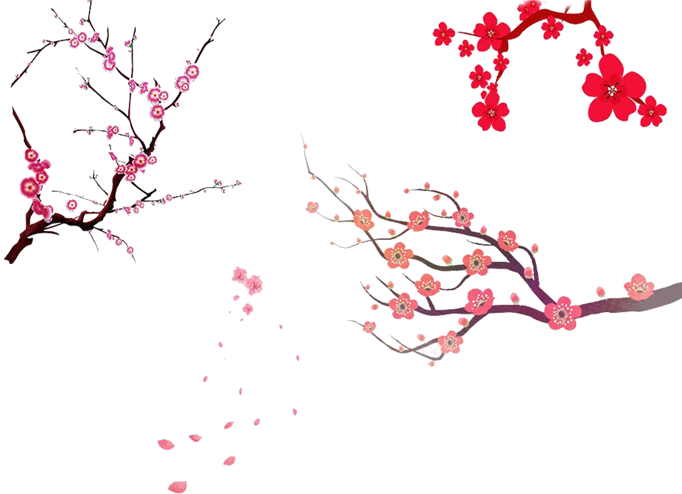 Cherry Blossom Tree Prunus Serrulata - Cherry Blossom Paint Simple (2362x2363)