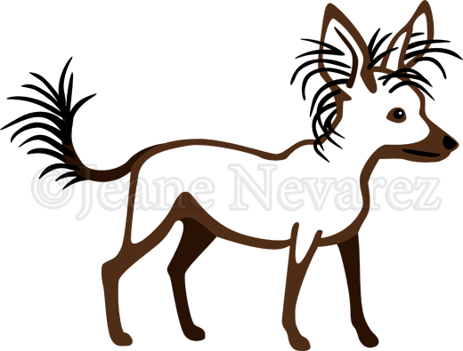 Chinese Crested Dog (520x395)