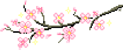 Image Result For Cherry Blossom Transparent Gif - Cherry Blossom Transparent Gif (500x361)