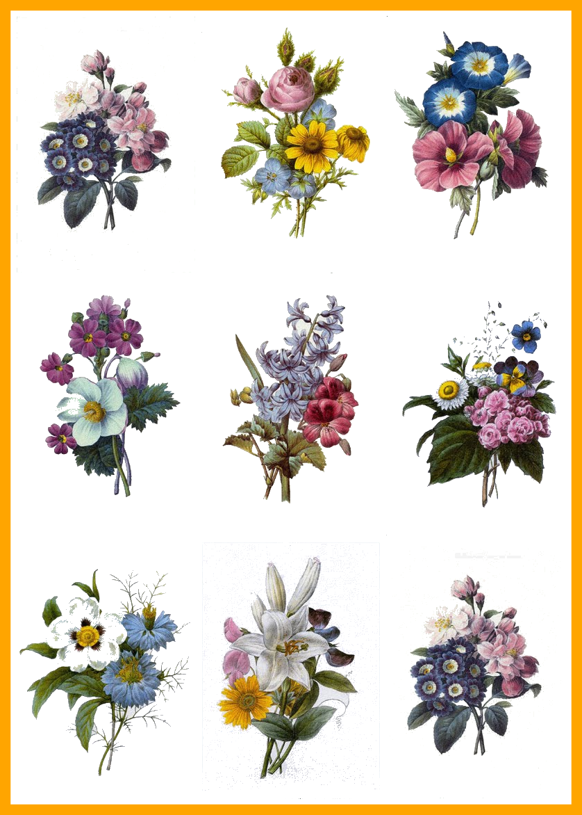 Astonishing Pin By Lindsey Rae On Drawing Tattoo Tatting - Redoute Bouquet Pillow Case (838x1172)