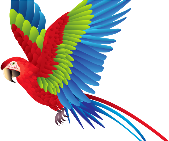 Flying Parrot Clipart - Parrot Clipart (640x480)