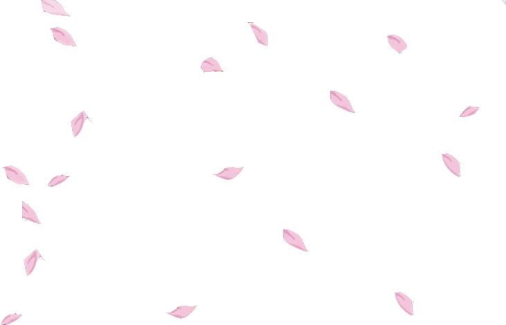 Sakura Petals (731x469)
