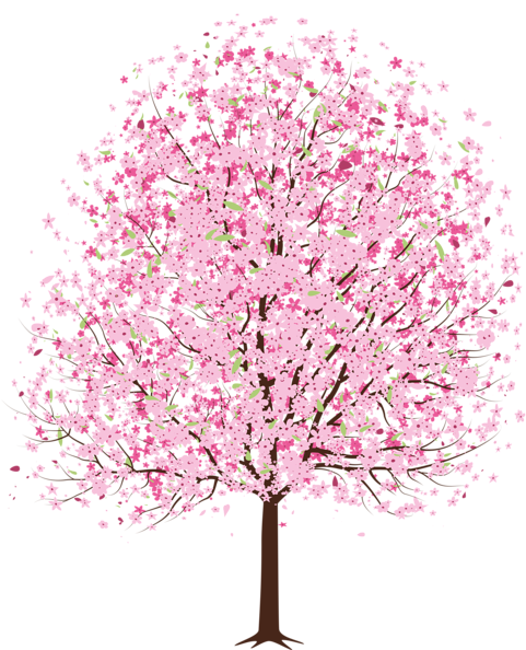 Pink Spring Deco Tree Png Clipart - Cherry Blossom Tree Clipart (494x600)
