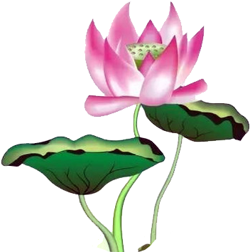 U756bu8377u82b1 Nelumbo Nucifera Hand Fan Ink Wash - Leaf (600x500)