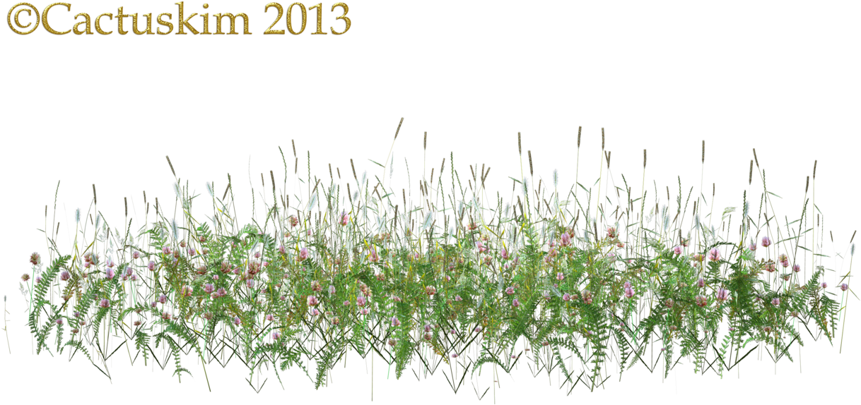 Wild Flowers And Grass/weeds Png Kl By Cactuskim - Png Grass Wild Flowers (1264x632)