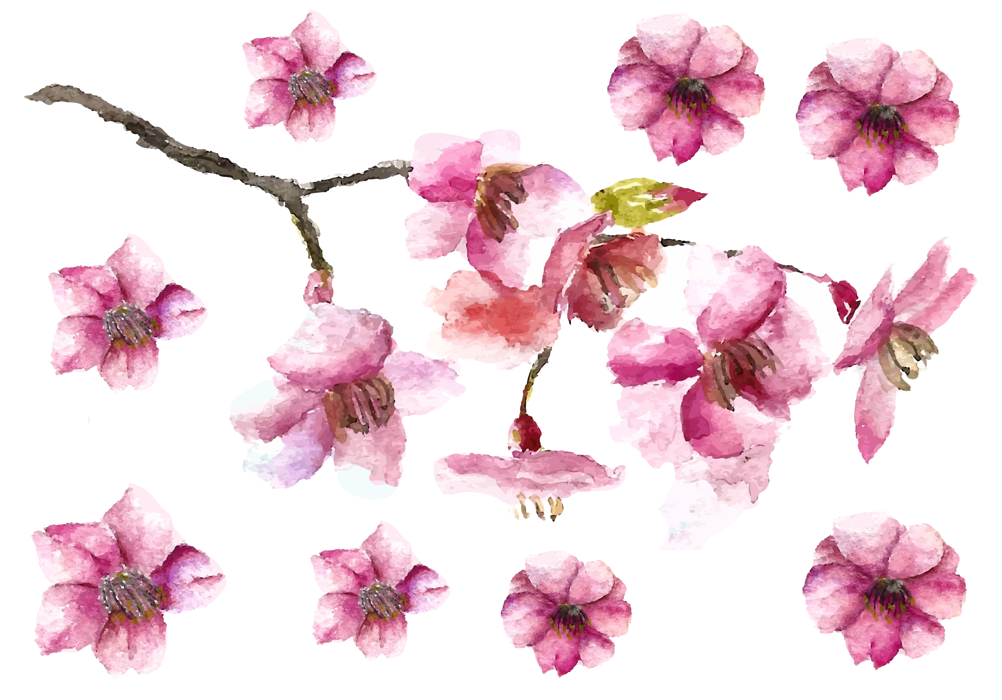 Cherry Blossom Petals And Branch Fake Tattoo, Cherry - Cherry Blossom Easy Drawing (3508x2480)