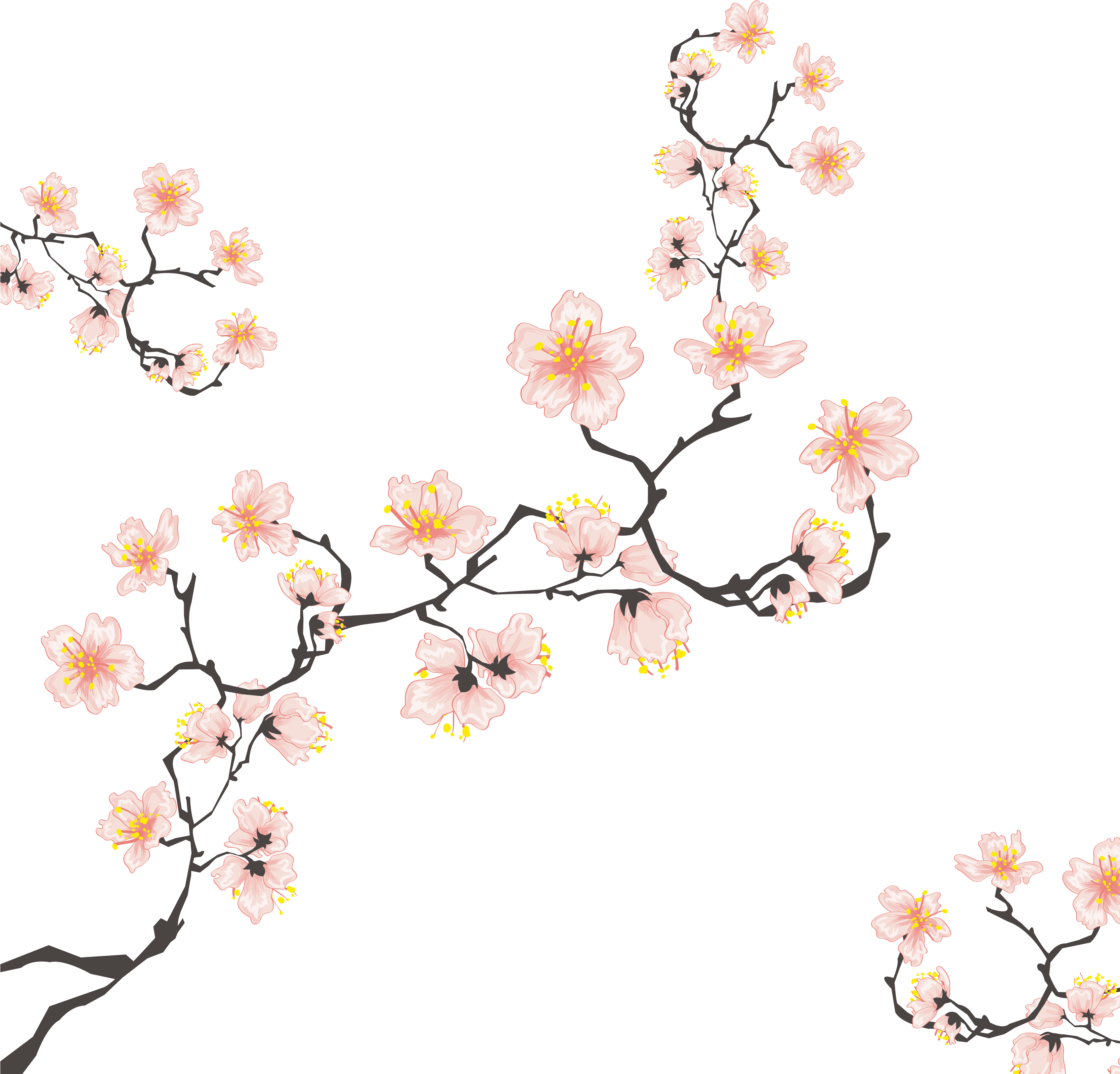 Cherry Blossom Computer File - Motivos Japoneses (3333x3333)