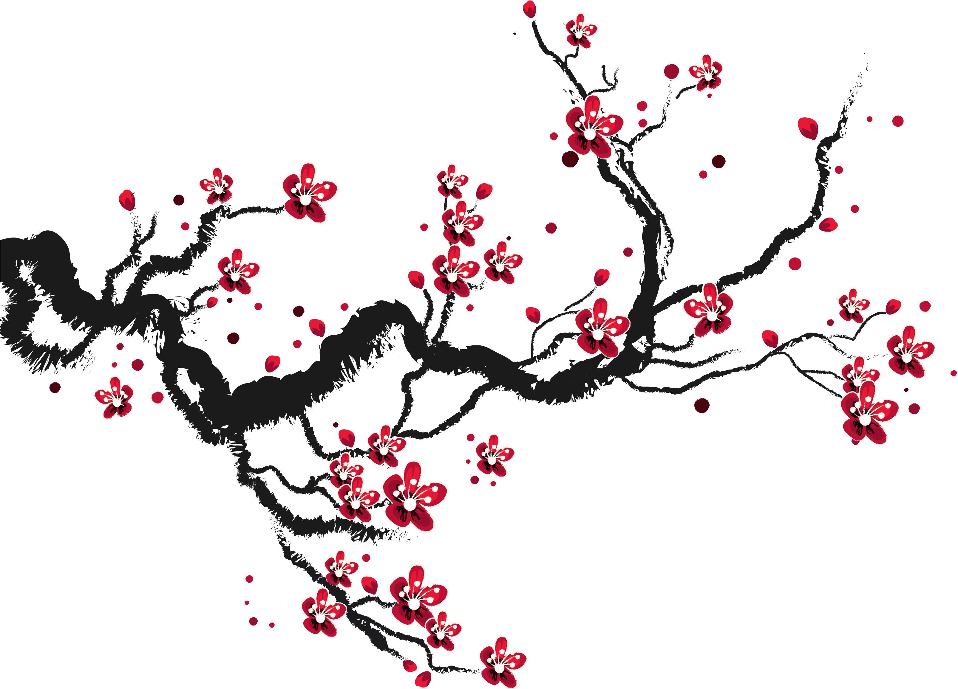Cherry Blossom Drawing - Cherry Blossom Drawing Tree (3333x3333)
