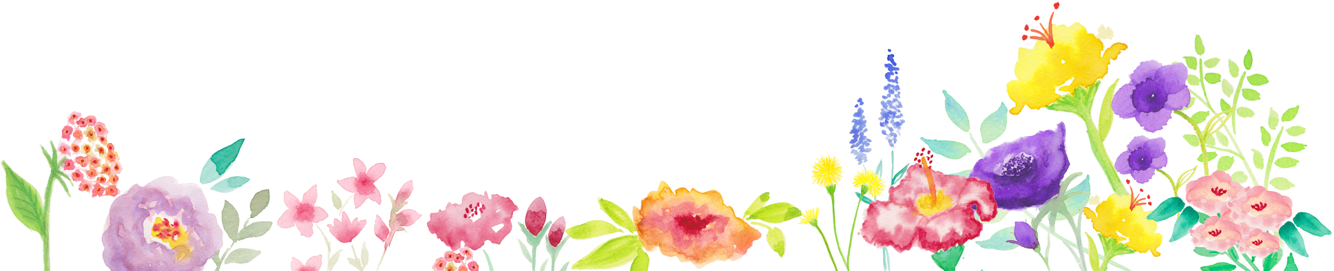 Header Flowers Bottom All 1 - Blogshop (1937x394)