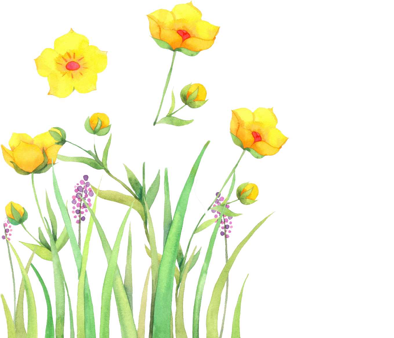 Flowers Watercolor Painting - Illustration (1920x1200)