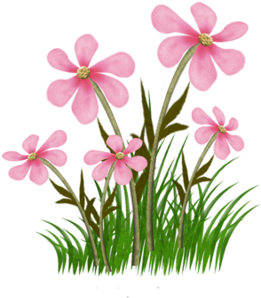 0 14c6e4 Dd50b1ea Orig Flowers &amp - Você É Importante Para Deus E Para Mim (491x500)