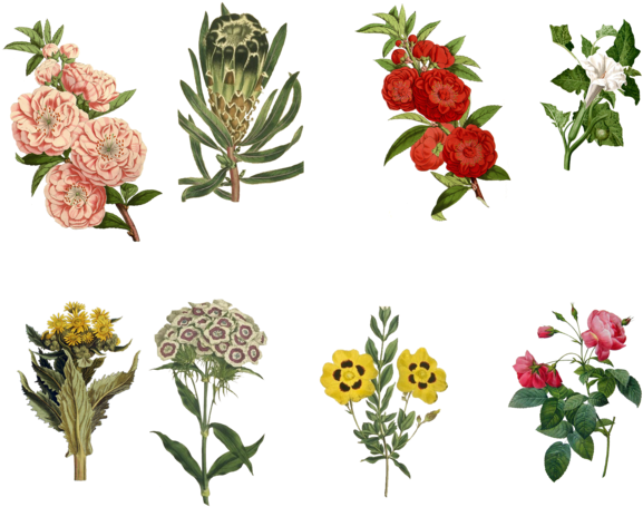 Vintage Flowers Set 3 Png By Chaseandlinda - Vintage Flower Public Domain (600x471)