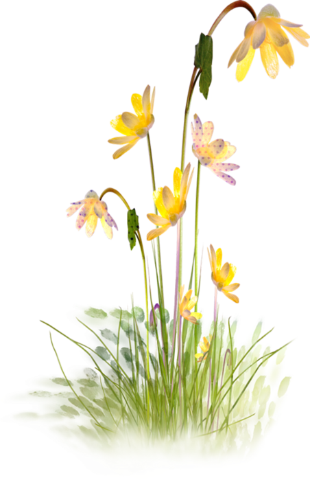 Bearing One Anothers Burdens (452x699)