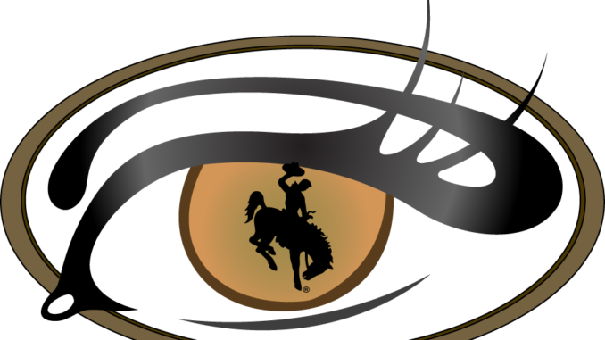 Laramie Vision Clinic Logo - Silhouette (678x381)
