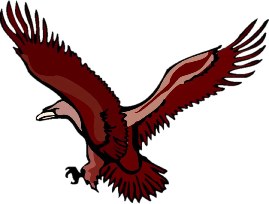 Lumberport Elementary Eagles - Bird Flying Clipart (900x682)