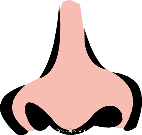 Allergy Clipart Stuffy Nose - Cartoon Nose Clip Art (480x455)