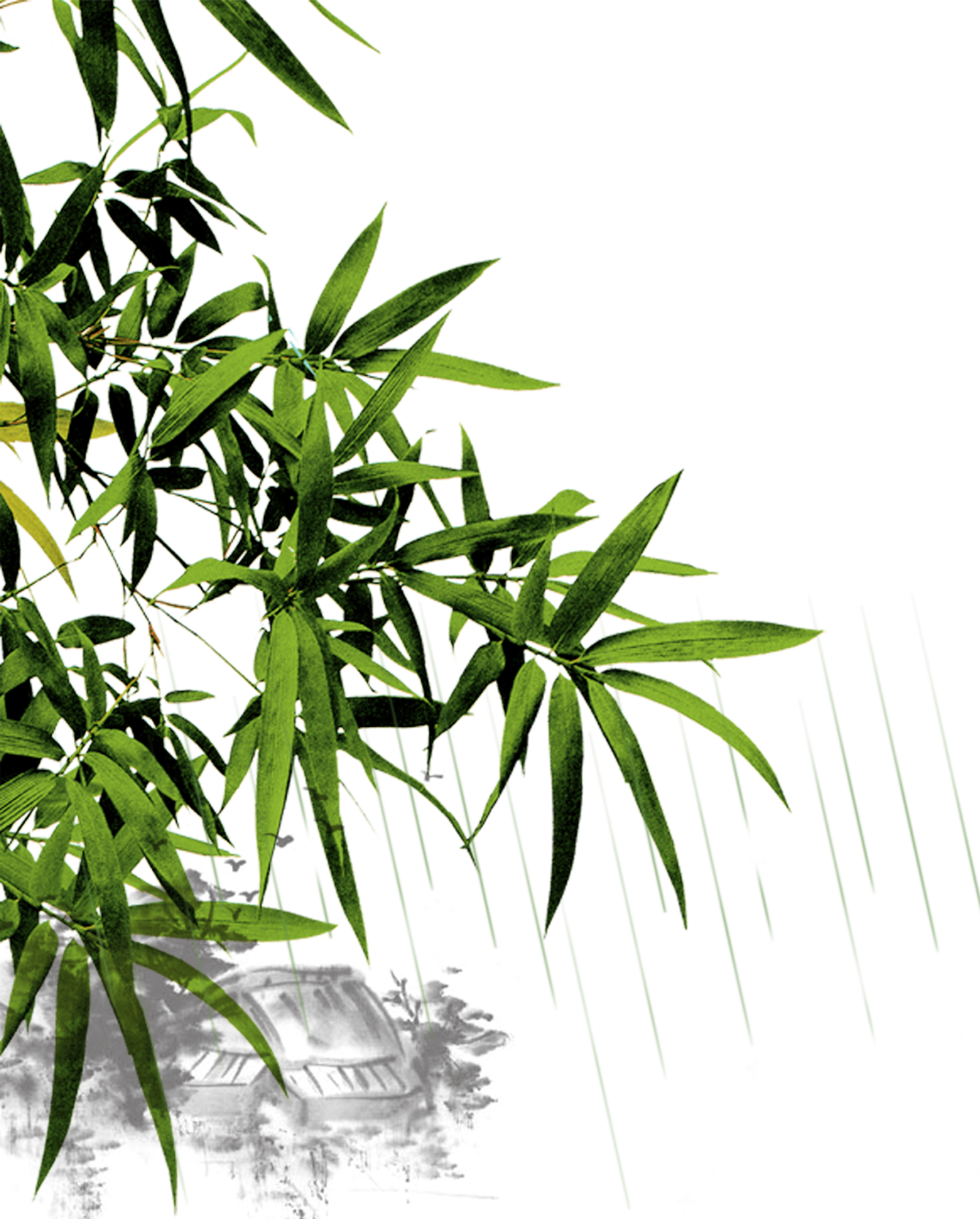 China Bamboo M - Flower Corner Chinese (1340x1667)